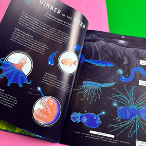 Glow : The wild wonders of bioluminescence