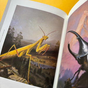 Insectile Inspiration: Insects in Art and Illustration