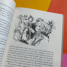 Load image into Gallery viewer, Alice&#39;s Adventures in Wonderland (Special Slipcase Edition)
