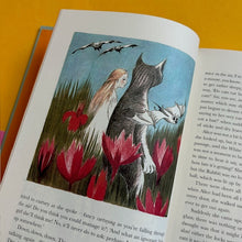 Load image into Gallery viewer, Alice&#39;s Adventures in Wonderland (Special Slipcase Edition)
