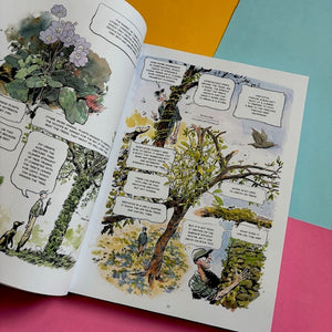 The Hidden Life of Trees : A Graphic Adaptation