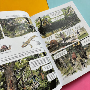 The Hidden Life of Trees : A Graphic Adaptation