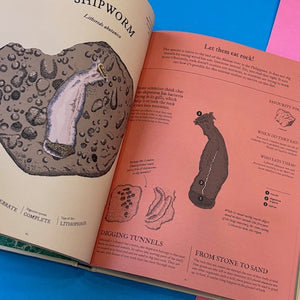 Eatopedia : An encyclopedia of how animals eat, digest and poo