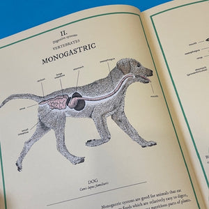 Eatopedia : An encyclopedia of how animals eat, digest and poo