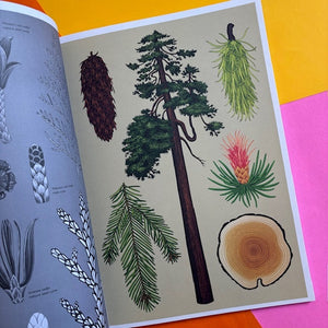 Arboretum - Poster Book