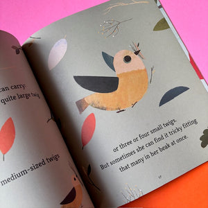 Bird Builds a Nest : A Science Storybook about Forces