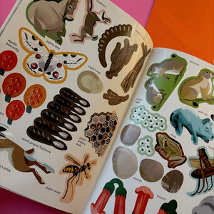 Animals of the Mountains : My Nature Sticker Activity Book