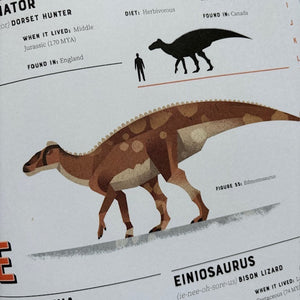 Dictionary Of Dinoasaurs