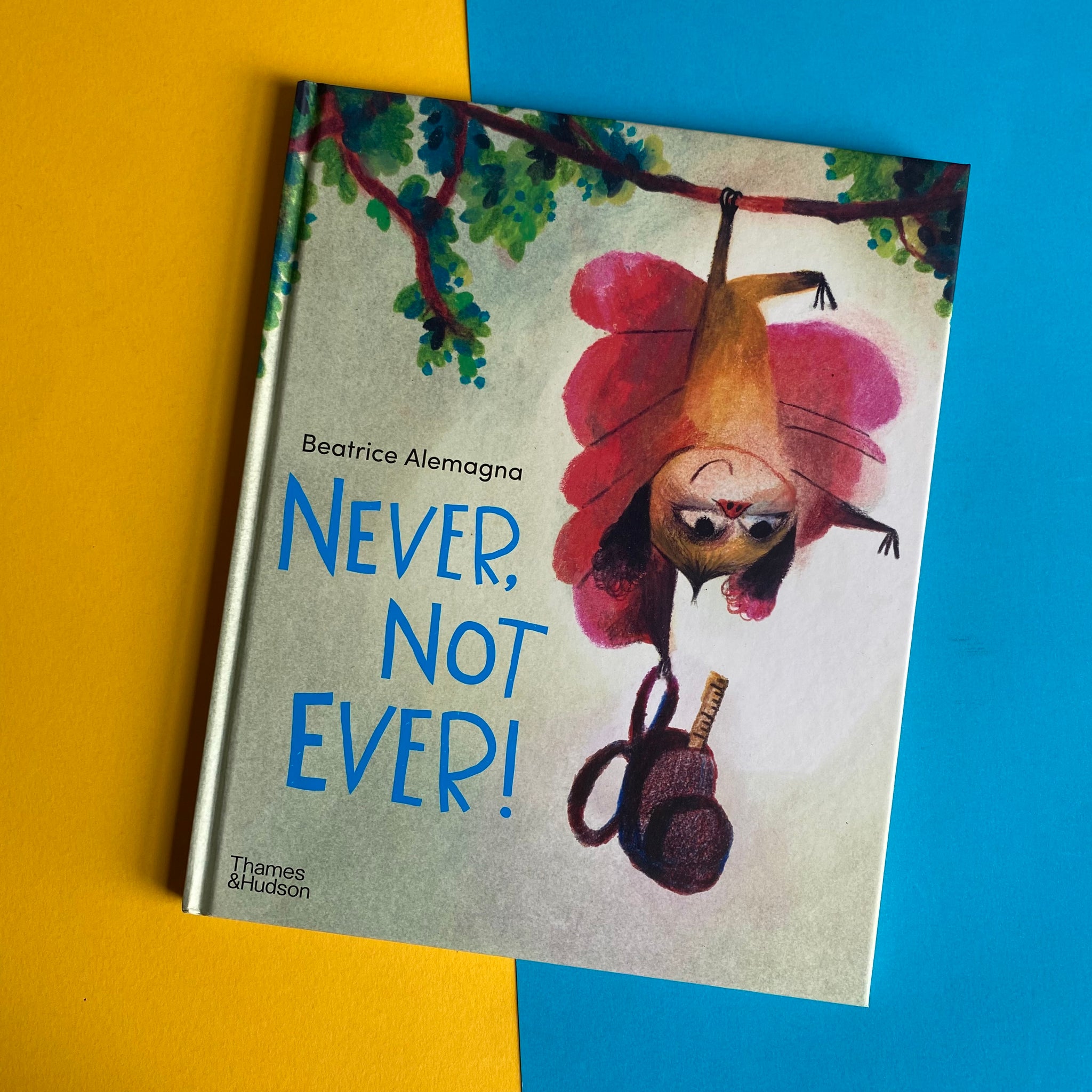 Never, Not Ever! by Beatrice Alemagna