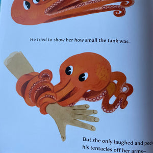 The Octopus Escapes