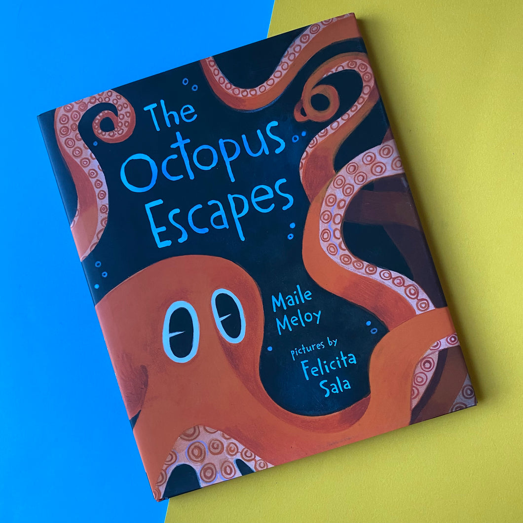 The Octopus Escapes